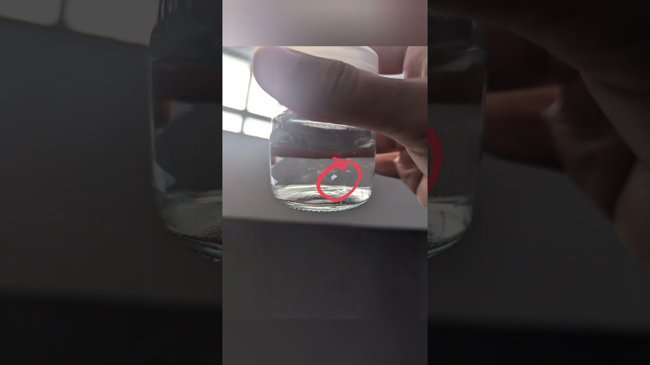 white particles in my filtered water (is it mold, calcium, magnesium, or something else?)