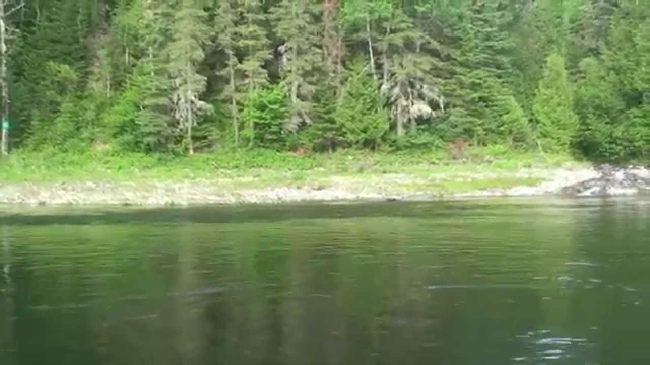 28lbs Atlantic Salmon on a Dry Fly 2012