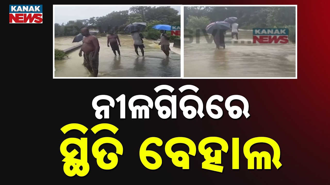 Balasore Rain Update | Floodwater Disrupts Traffic on Nilagiri State Highway