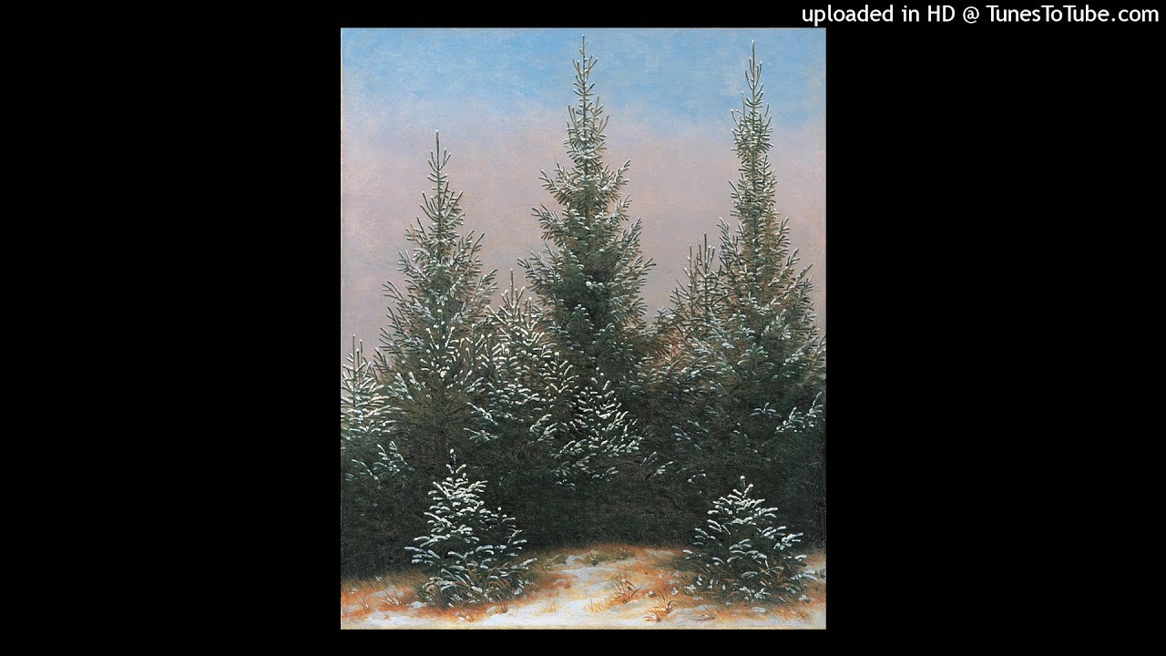 Friedrich G&uuml;ll: DER ERSTE SCHNEE (Gedicht zum Winter)