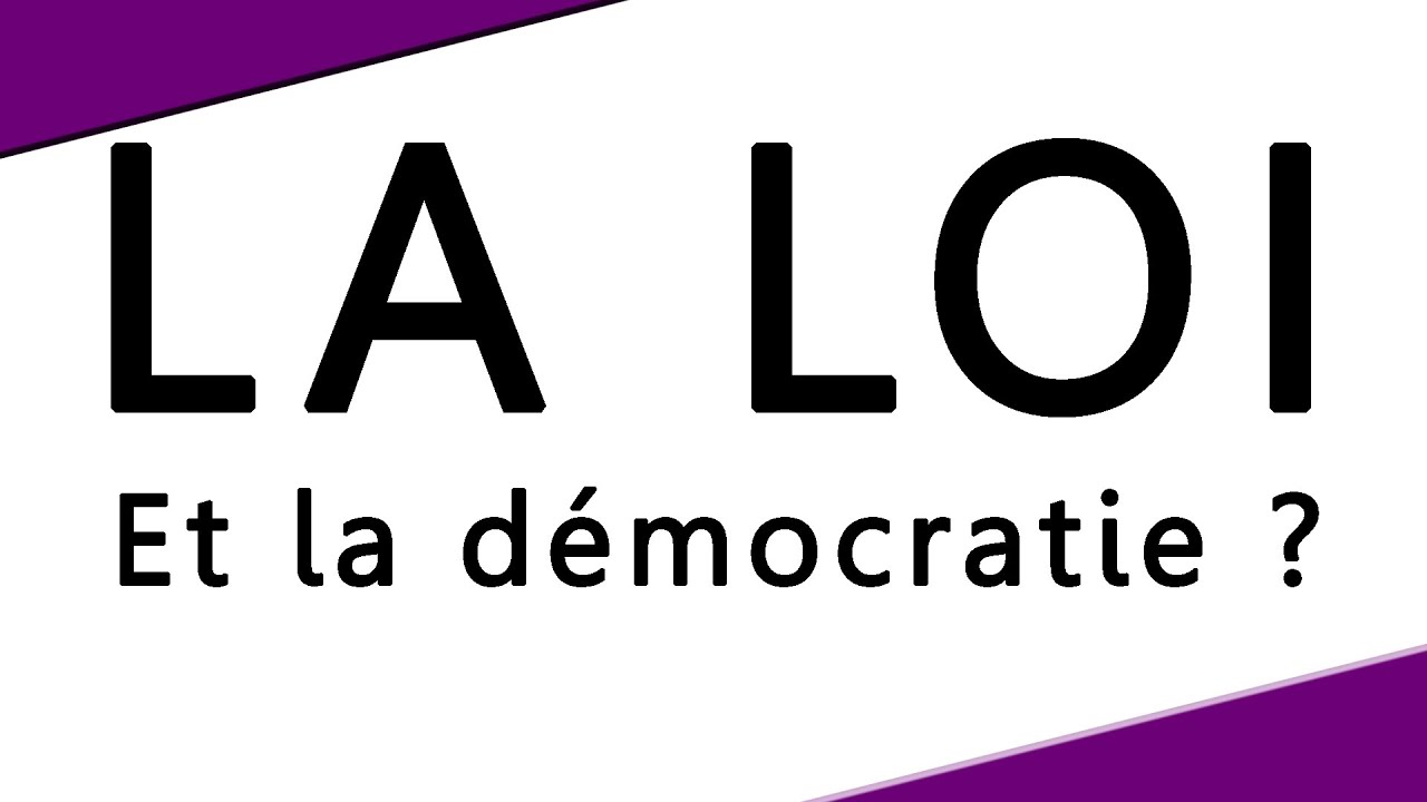PROC&Eacute;DURE L&Eacute;GISLATIVE : CRITIQUE