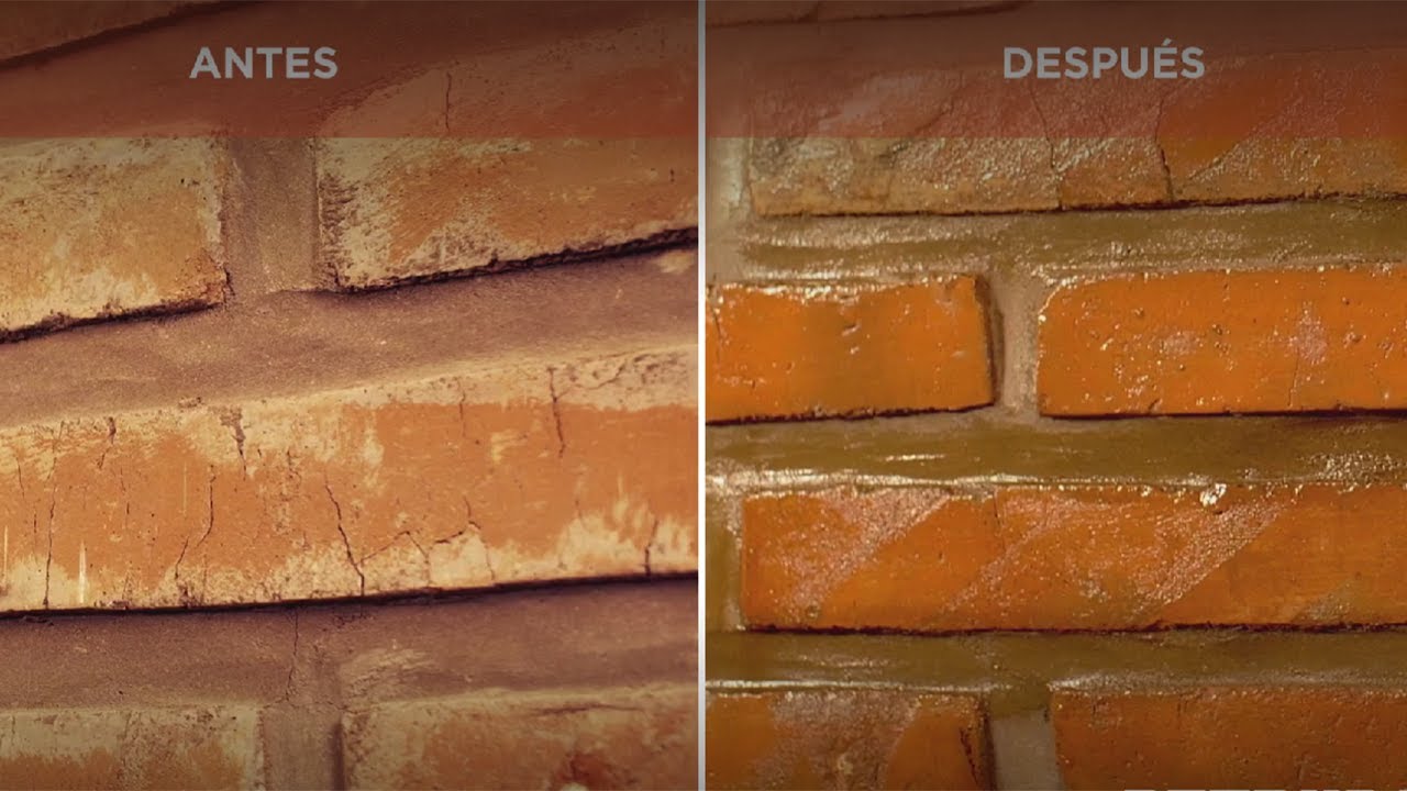 Sellagres Decorativo