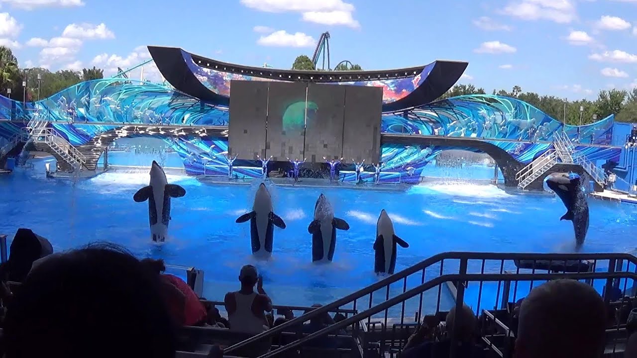 One Ocean - Shamu Killer Whale Show @ Sea World Orlando