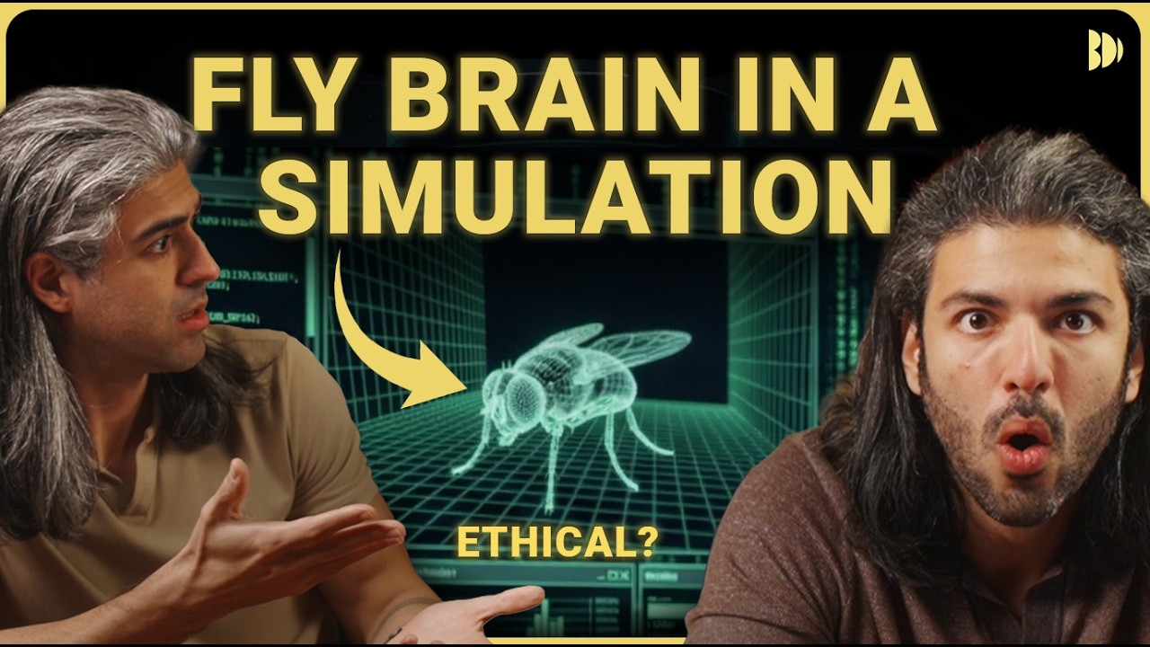 Scientists Copied a Fly's Brain Into a Computer