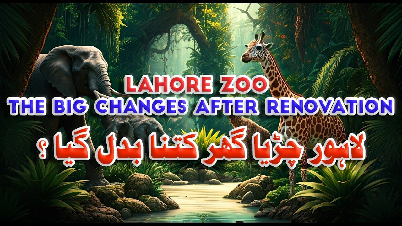 Lahore Zoo: The BIG Changes After Renovation!