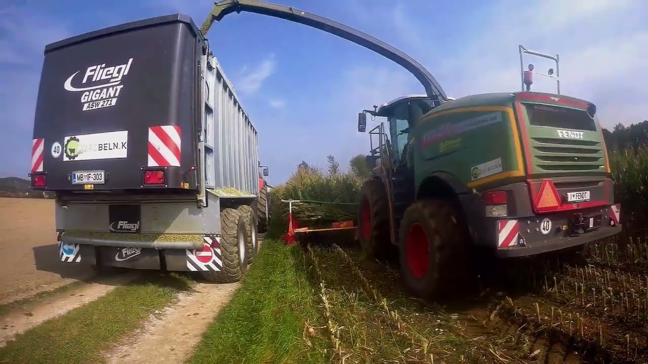 siliranje koruze/corn silage /2022.