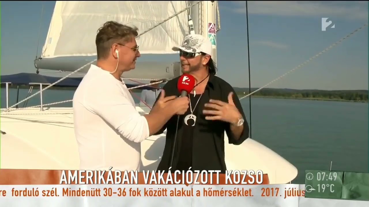 Delfinek a balatonban delfinek Kozs&oacute;