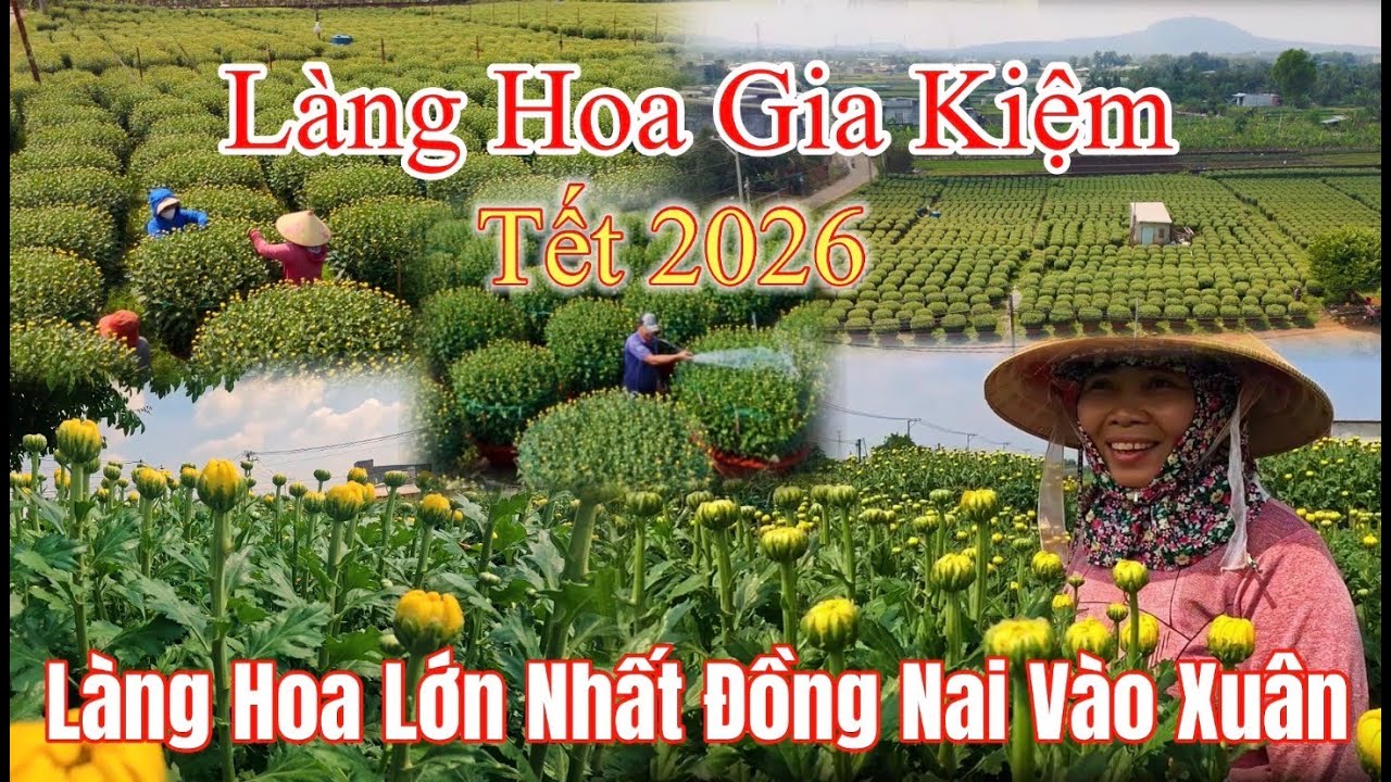 Làng hoa Gia Kiệm lớn nhất Đồng Nai tất bật cho vụ hoa tết nguyên đán 2026.