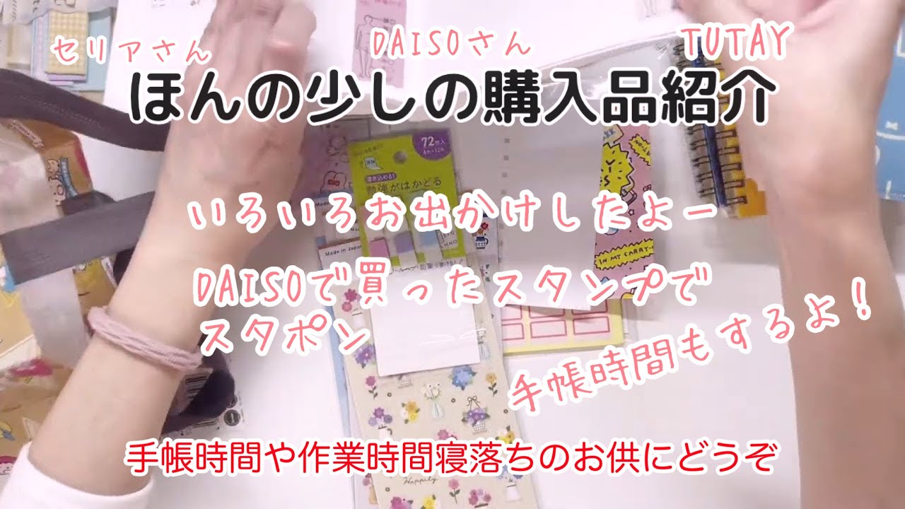 ほんの少しの購入品紹介|手帳時間‼️