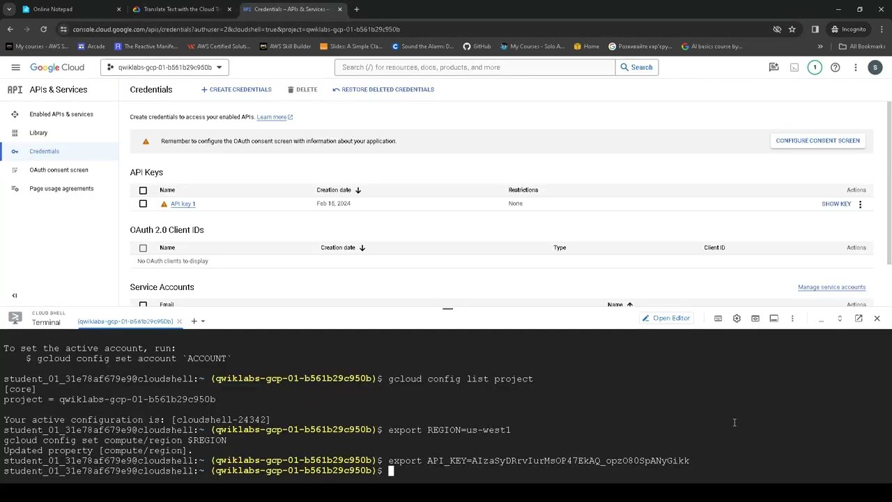 GCP Translate Text with the Cloud Translation API GSP049