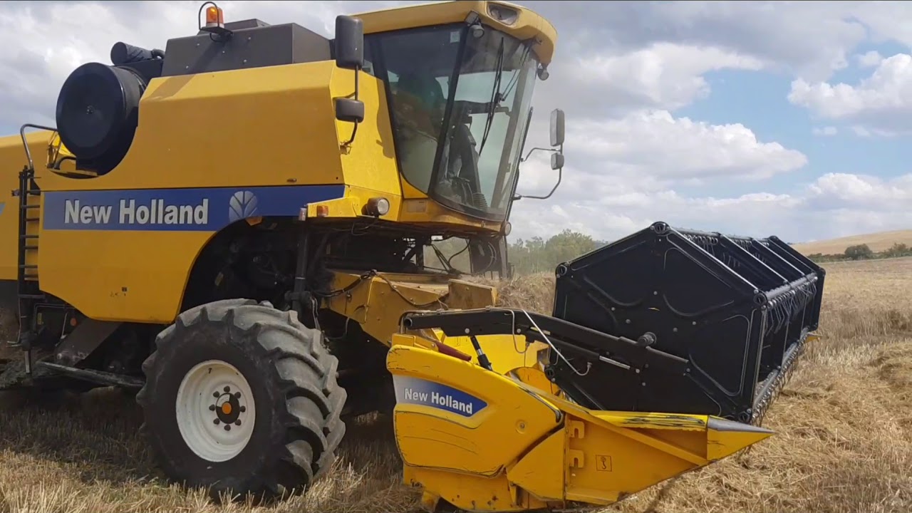 Trebbiatura grano duro 2020 con Tc5080 New holland Azienda Salerno Grottole