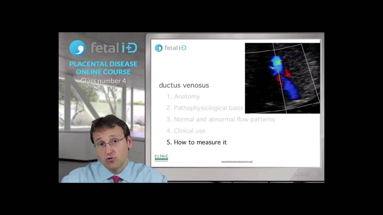 Prof. Dr. Eduard Gratacos / Vasos venosos en la normalidad y el RCIU