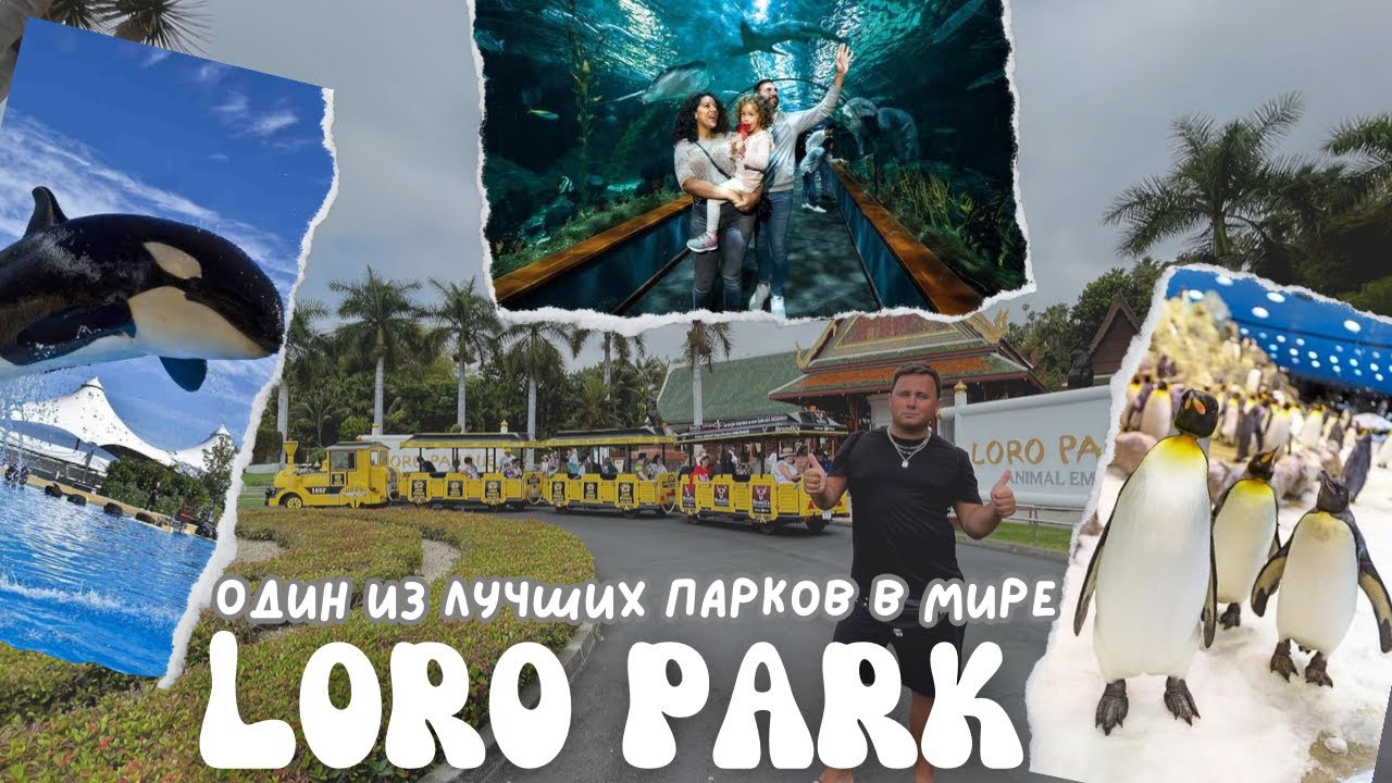 Восторг от лучше парка Европы - Loro Parque Tenerife | Пингвинариум. Океанариум. Касатки.