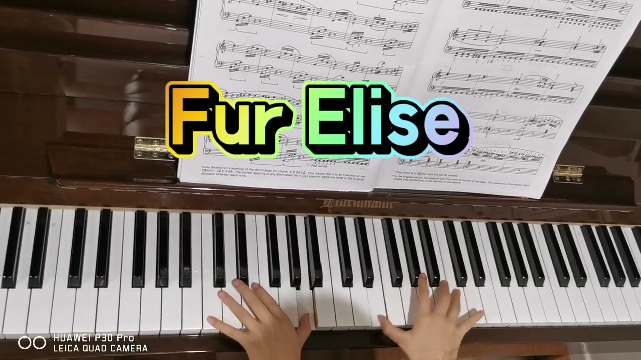 Alfred's Basic Piano Library Lesson Book Level 6 🎶Fur Elise 🎶