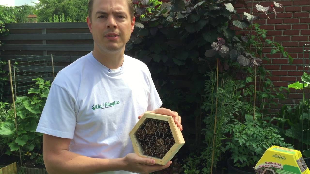 Een insectenhotel in jouw moestuin