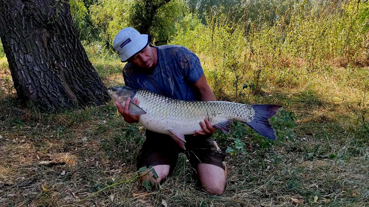 Amurii de August rup minciogu la propiru.Nistru cu echipa Gipescar.
