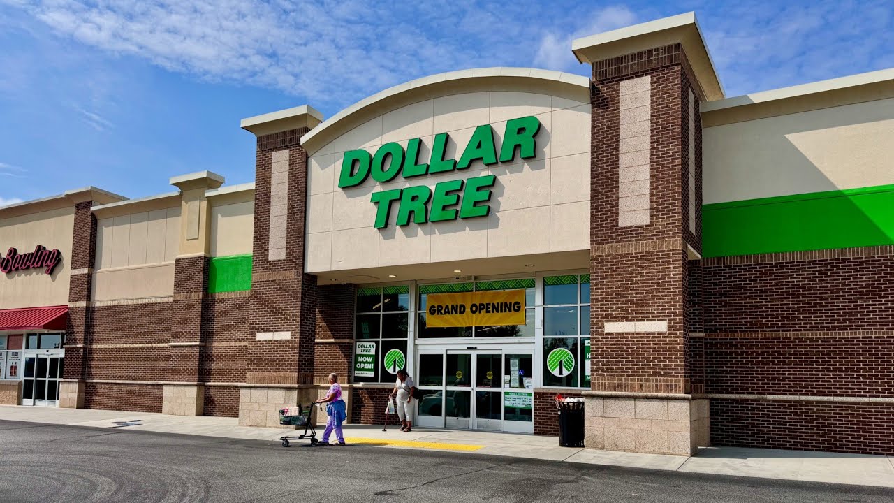 FIRST DOLLAR TREE SHOPPING SPREE OF 2026 NEW YEAR NEW FINDS ✨️ DOLLAR TREE STAS