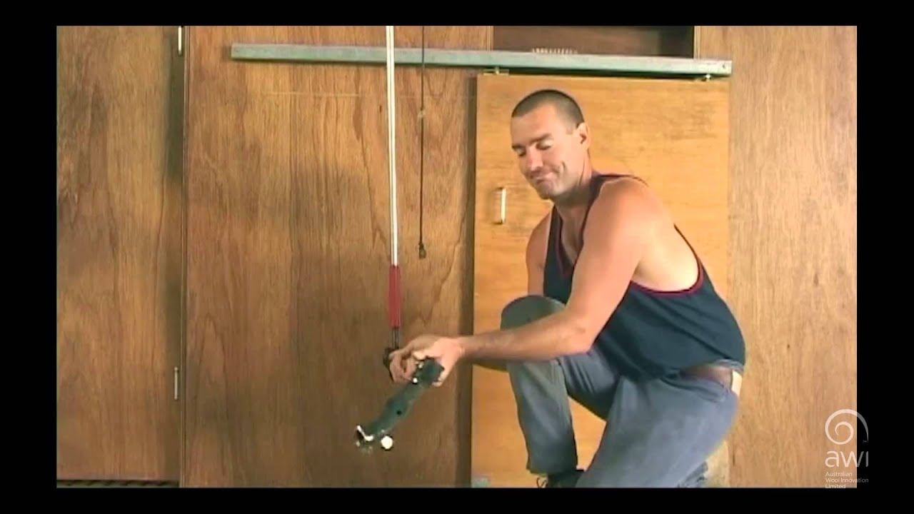AWI Novice - Circle of Position