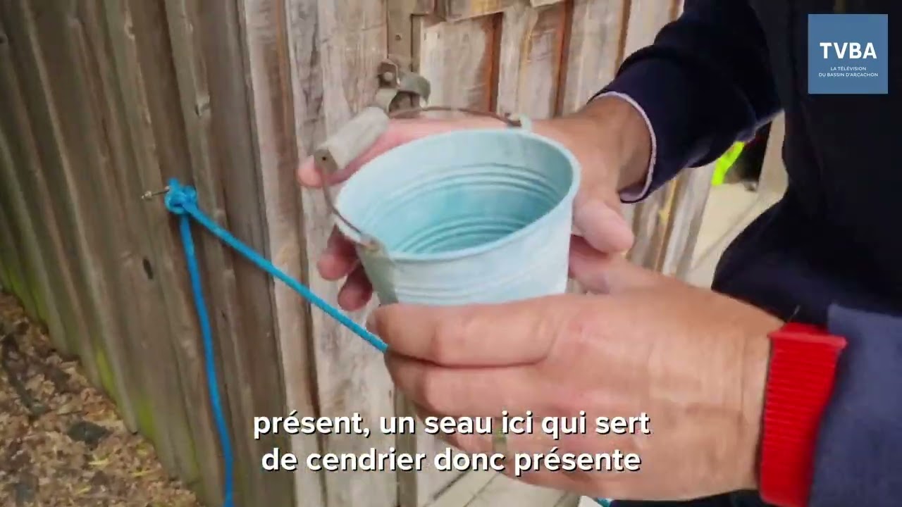 Les moustiques sont de retour ! Comment ne pas être envahi dans son jardin ?