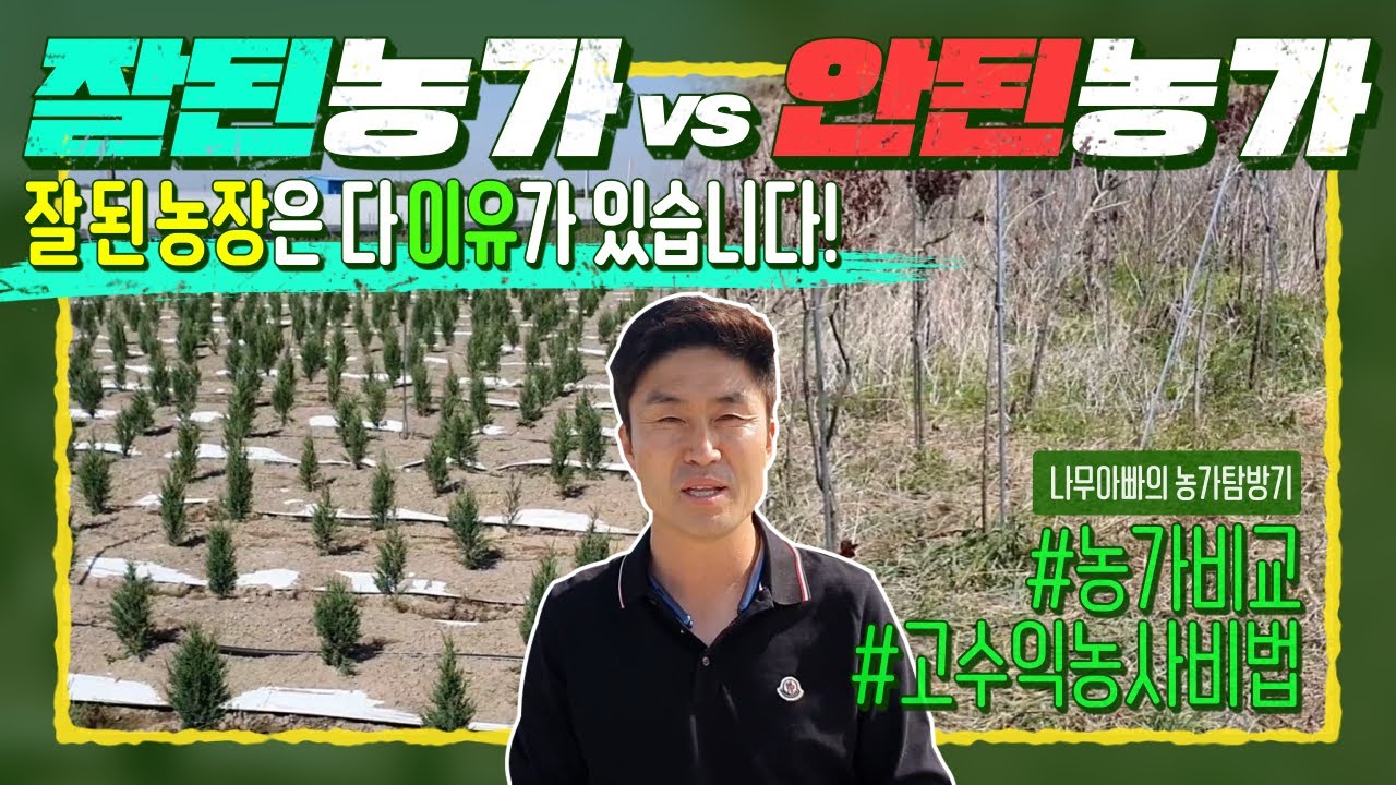 잘 된 나무농장에는 이유가 있다?! 신지식 농업인의 고수익 창출 나무농사 관리 비법(잘 된 농가 vs 잘 안된 농가)ㅣ[대림묘목농원_농가 탐방]