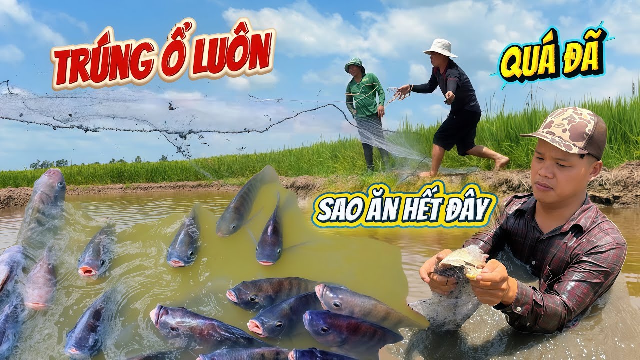 Trở lại địa điểm sinh tồn quen thuộc chài cá trúng ngay ổ cá ăn không hết | HoàiPhong TV