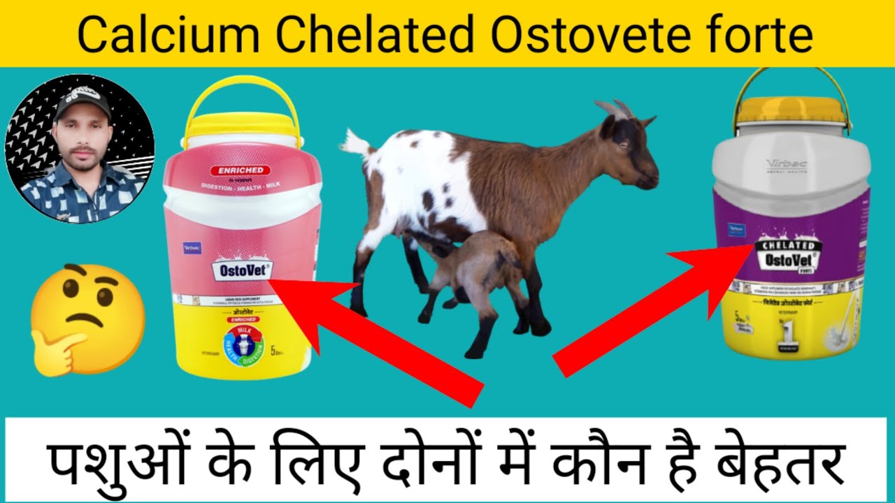 Calcium Chelated Ostovet  forte+Vimral