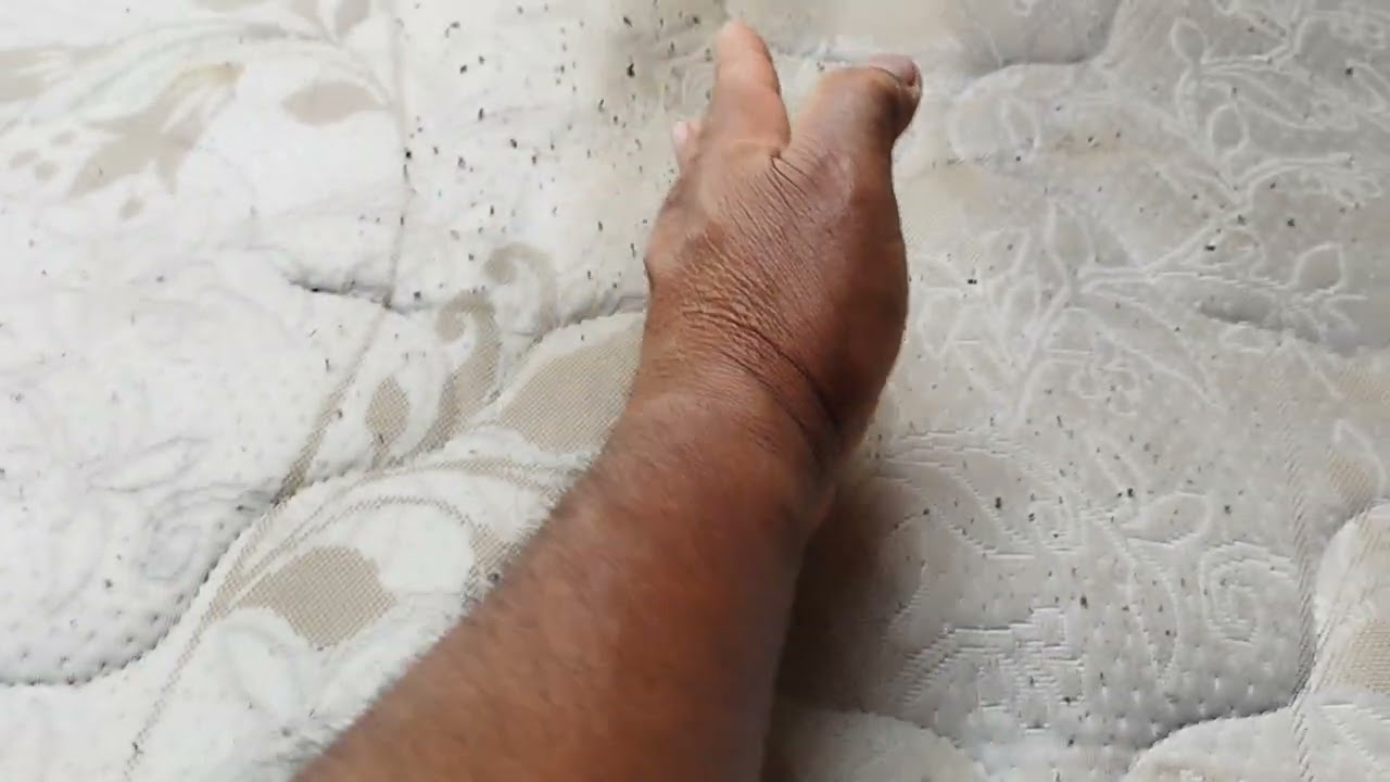 Lavagem a seco estética automotiva aventuras do baú 