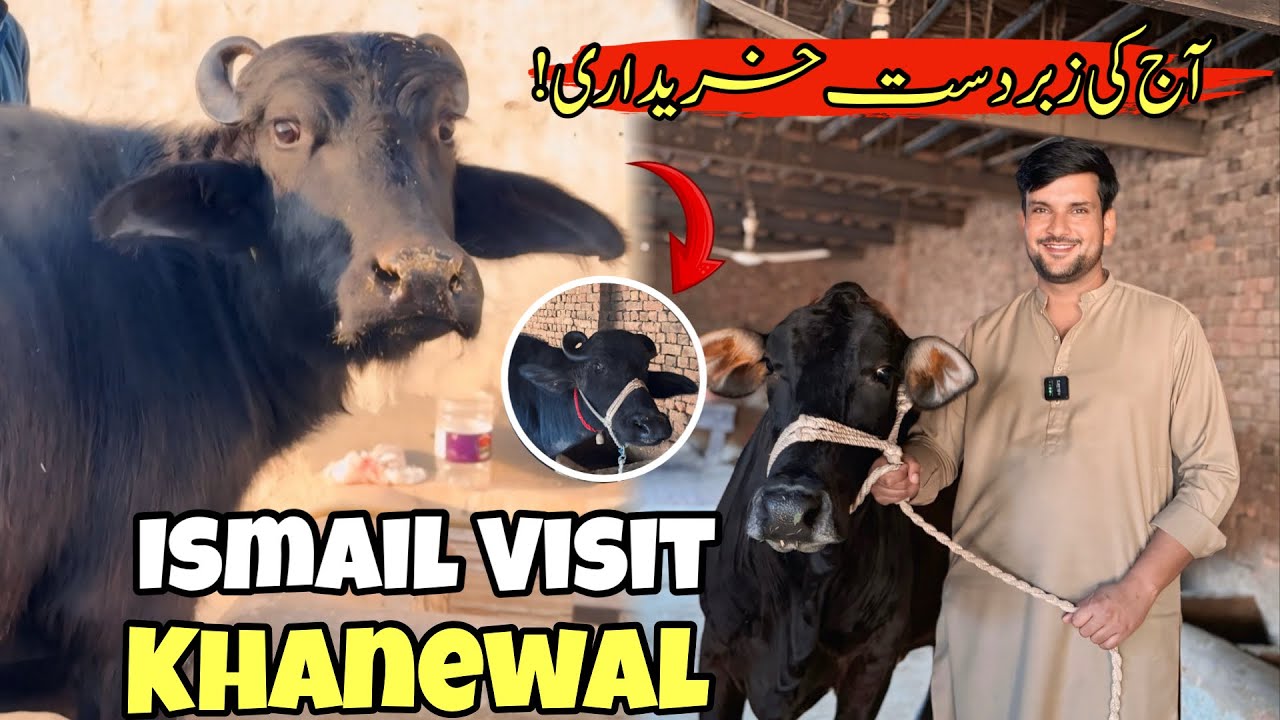 Ismail  Jutt Visit khanewal to Multan