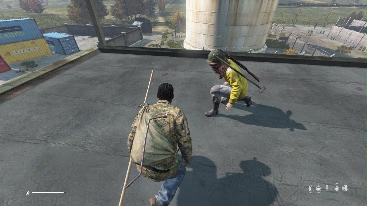 DayZ