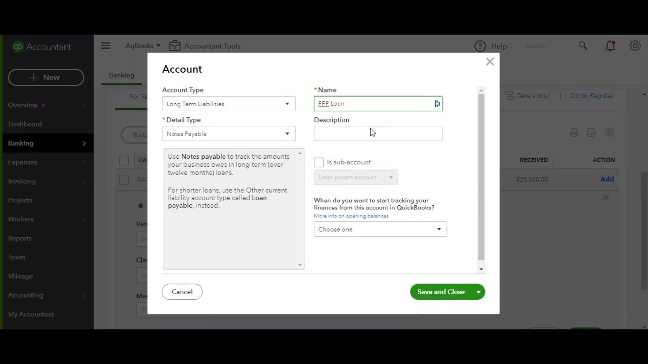 Bookkeeping for PPP Loan