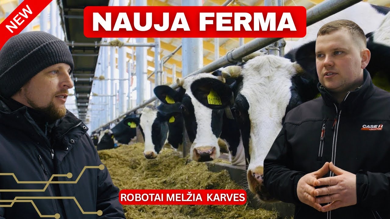 Ferma nuo nulio: robotai, komfortas ir 244 karvės || AGRO REIDAS