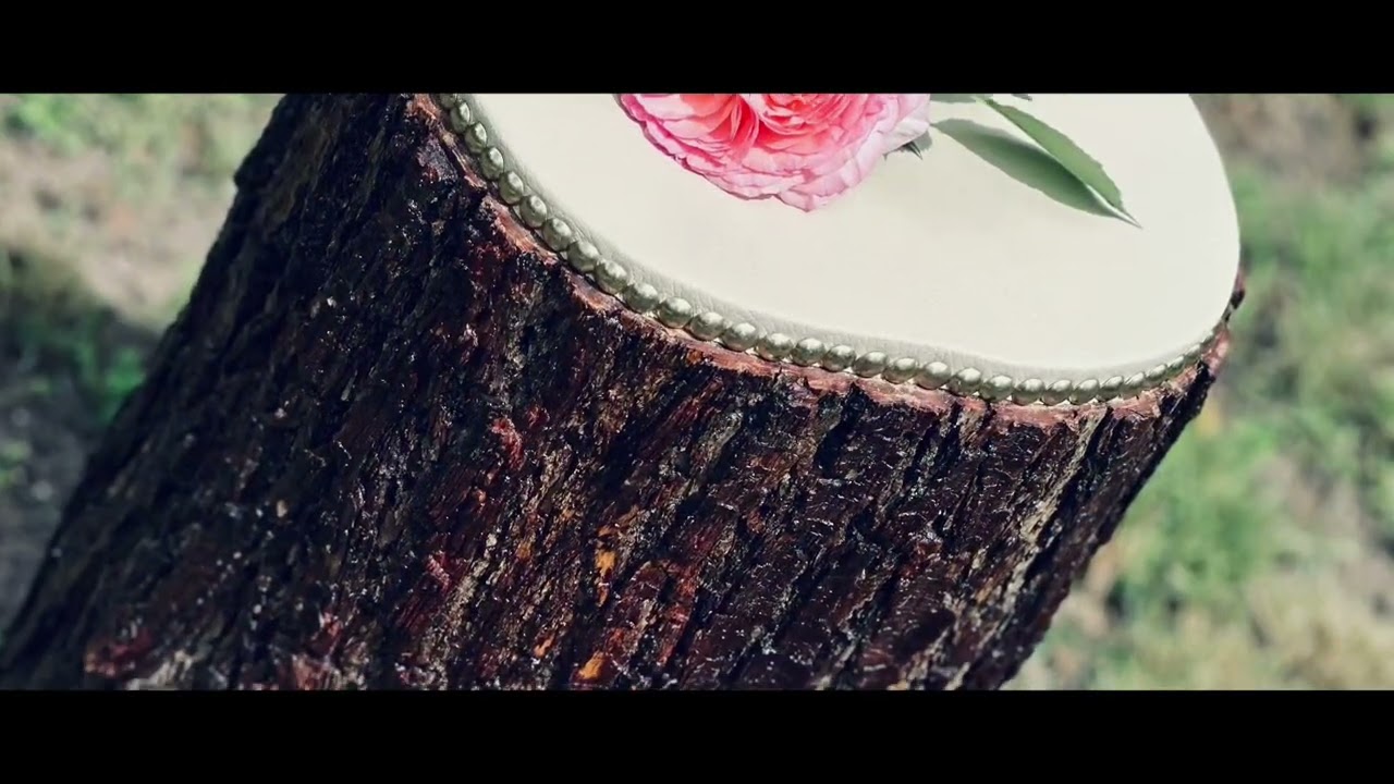 Roses of My Soul 🌹| Cântec de Dragoste #RosesOfMySoul #BaladaDeDragoste #YouTubeRomania