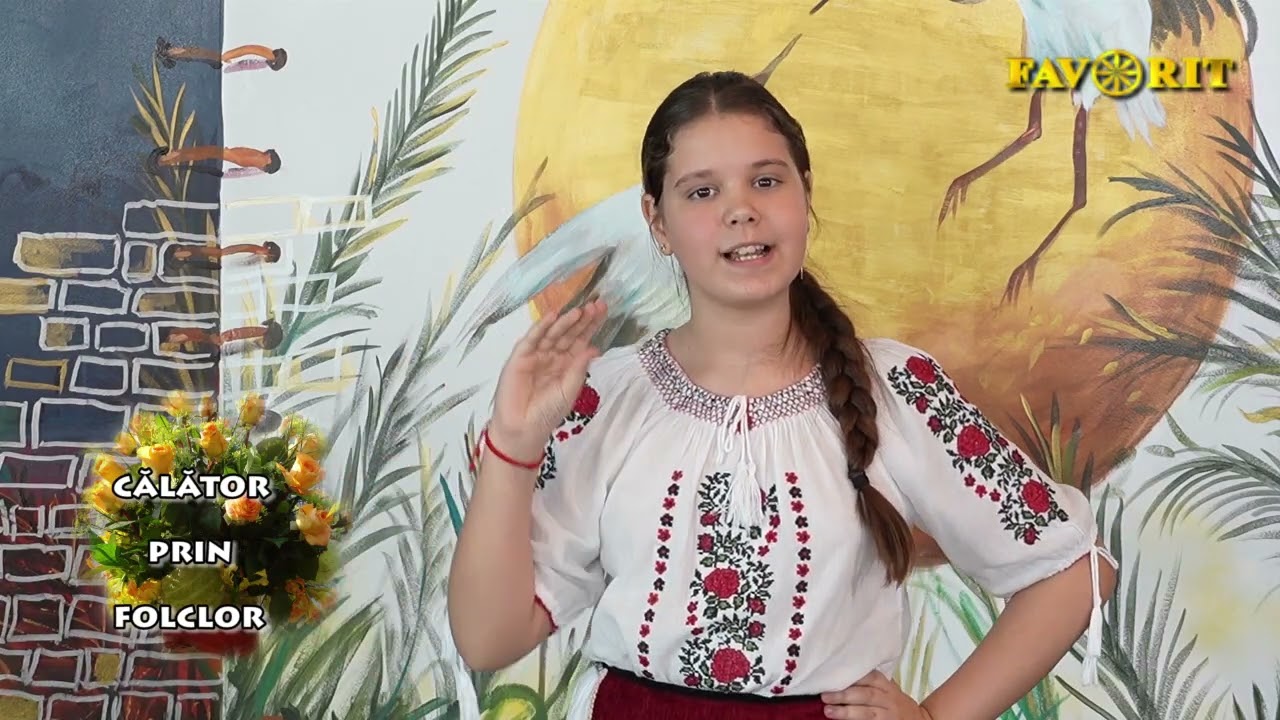 Delia Chiracu   Sunt o fata frumusica
