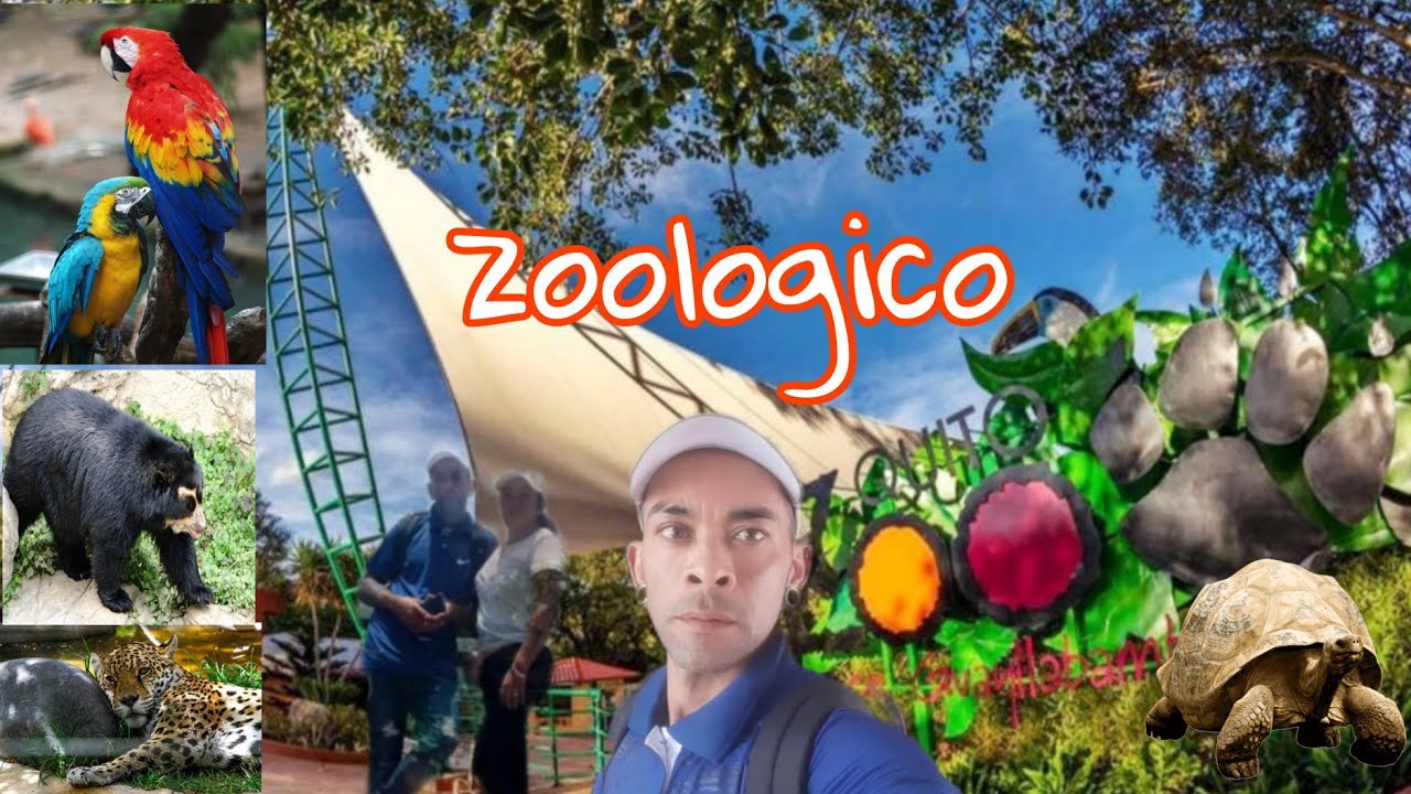 Zoologico de Guayllabamba Quito.Ecuador viaja sinlimyte🇪🇨