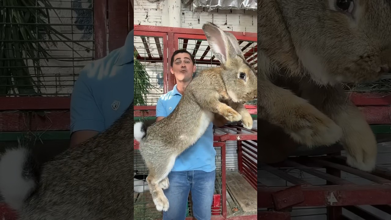 Amazing Animal Growth Journey! #animals #wildlife #animaltransformations