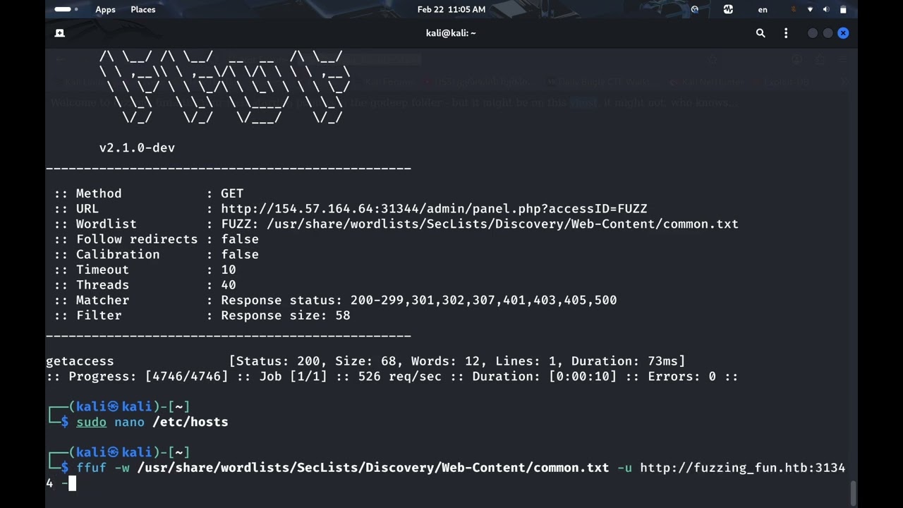HackTheBox Web Fuzzing - Skills Assessment