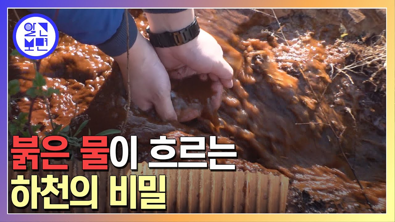 수십 년째 미스터리한 '죽은 물' 이 흐르는 마을?