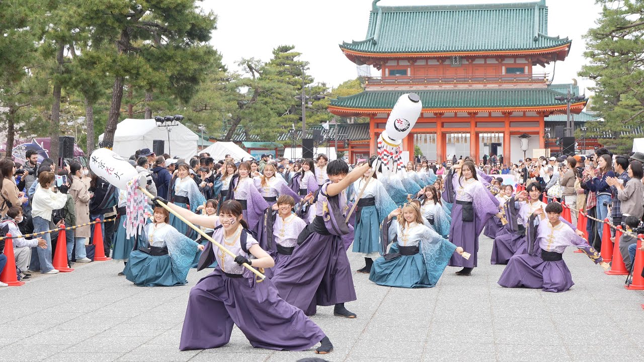 早稲田大学よさこいチーム 東京花火『天つかさ』 📍京都さくらよさこい (神宮道会場パレード) 2025-04-06T11:42