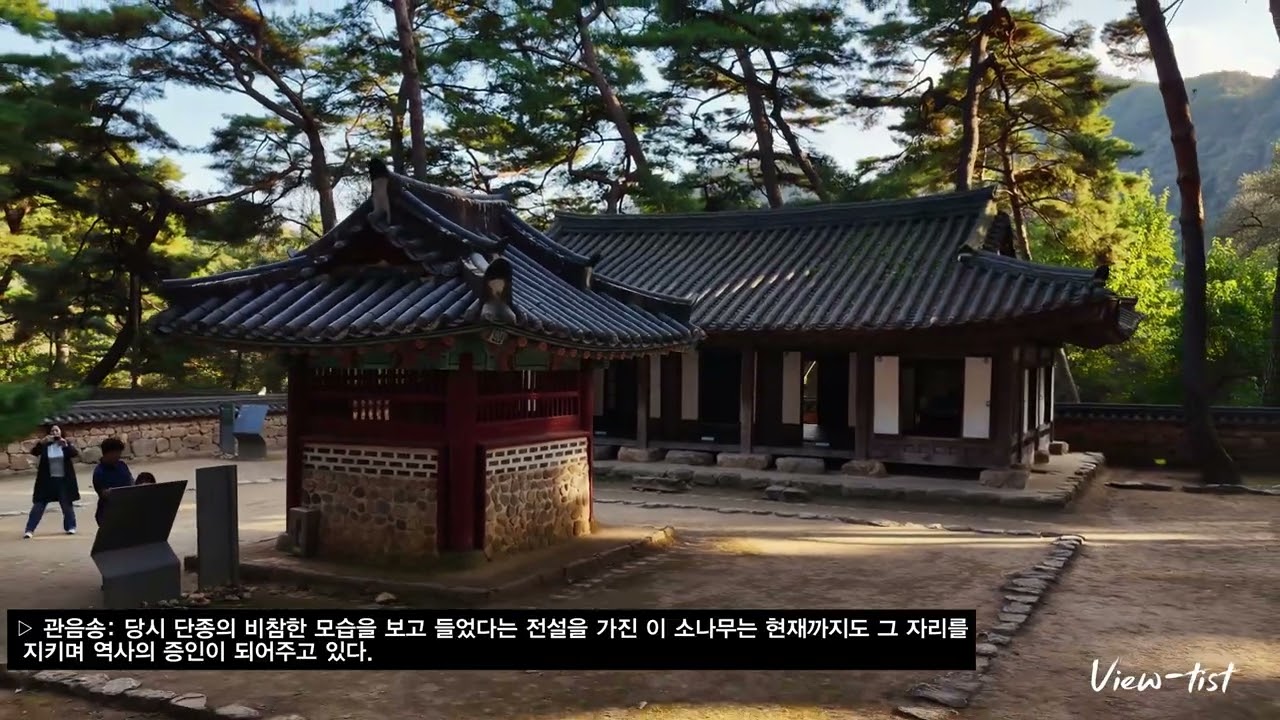 [왕과 사는 남자] 왕이었던 소년은 왜 이곳에 갇혀야만 했을까? 비운의 왕을 품은 고요한 숲 #강원도 #영월 #청령포