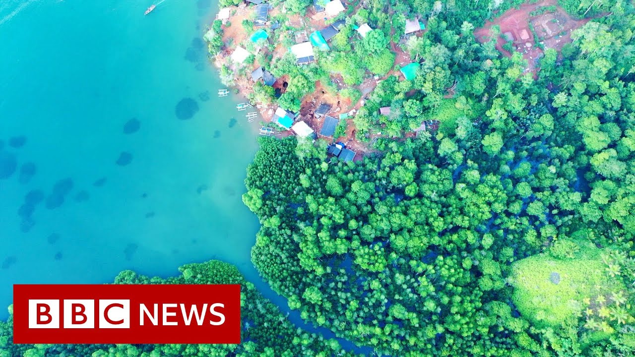 The battle to mine Indonesia's 'gold island' Sangihe - BBC News
