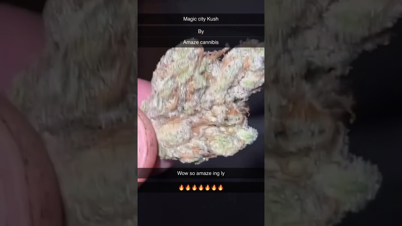 Magic city, Kush by amaze cannabis, MO