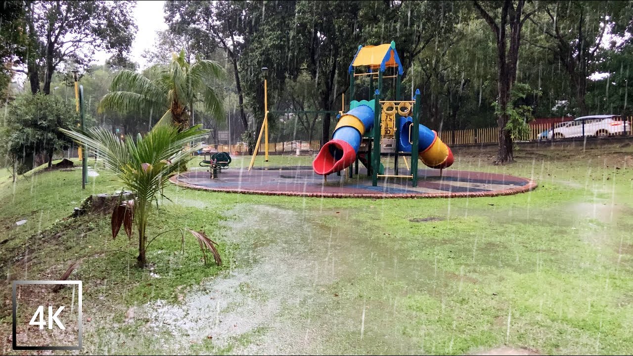 Stress Relief Heavy Morning Rain & ASMR Thunder | Walking in the Rain | Nature Sounds for Sleep