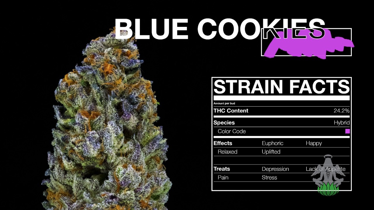 BLUE COOKIES