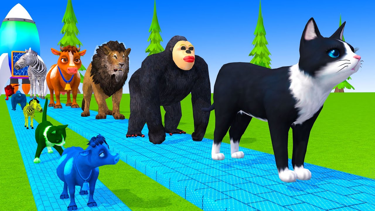 Long Slide Game With Cow Elephant Gorilla Hippopotamus Tiger 3d Animal Game Funny 3d Animals