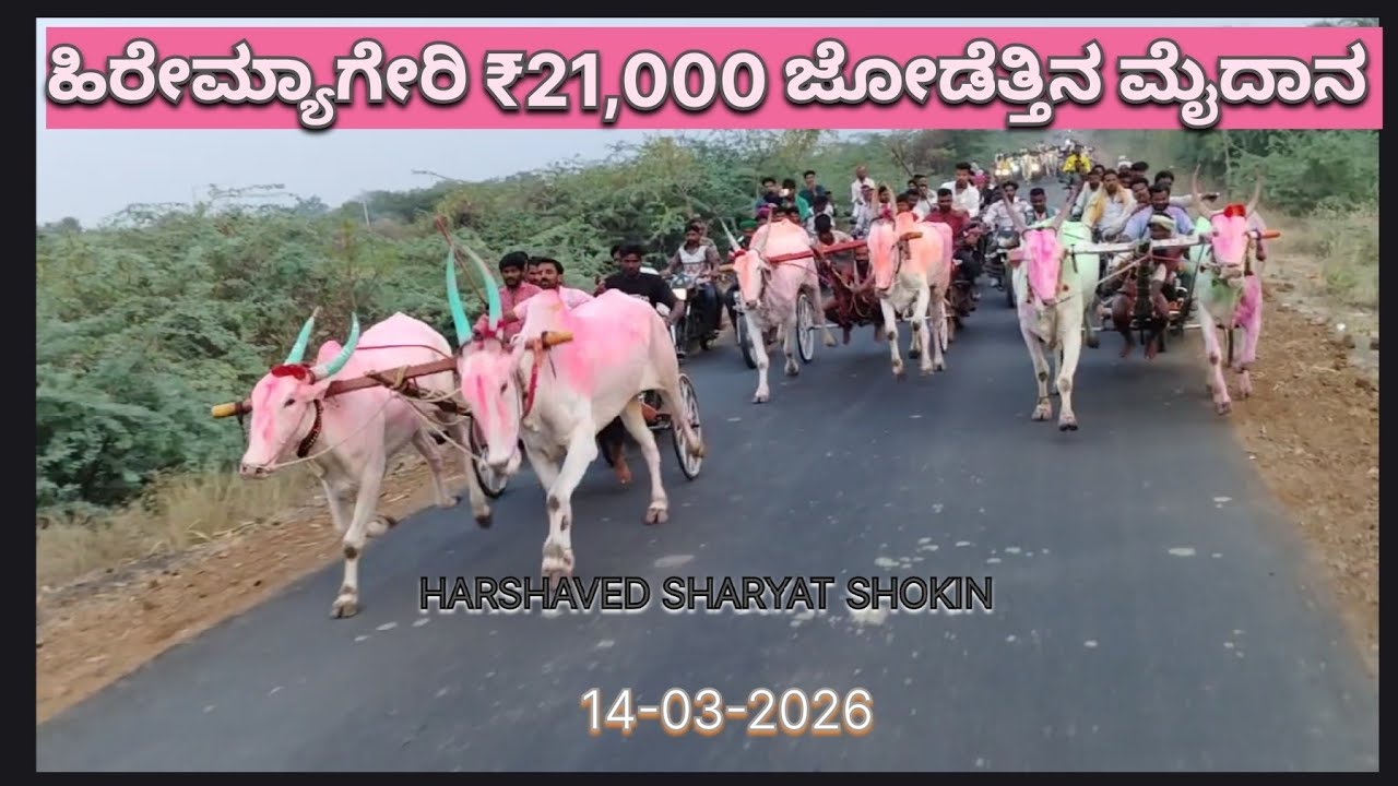 ಹಿರೇಮ್ಯಾಗೇರಿ 21,000ಜೋಡೆತ್ತಿನ ಜನರಲ್ ಮೈದಾನ,hiremyageri jodettina maidan, myageri rave# viral race