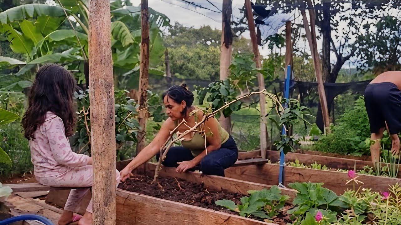 agora o corrego está correndo água 🙌Rotinas de MÃE NA ROÇA 