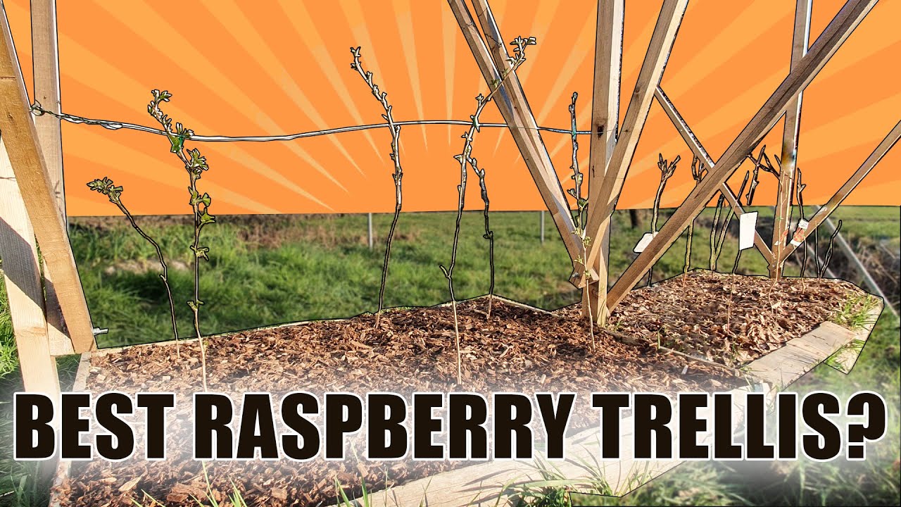 Building A Commercial RASPBERRY TRELLIS System