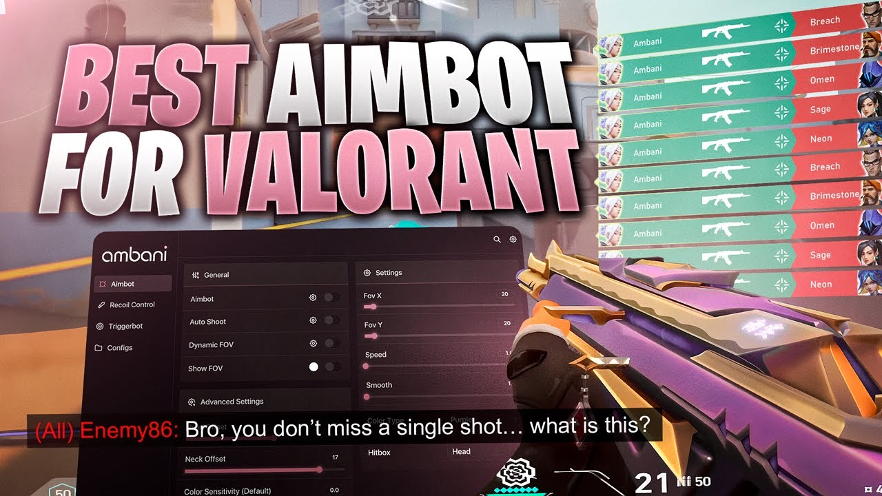 This is the Most UNDETECTABLE Colorbot in Valorant