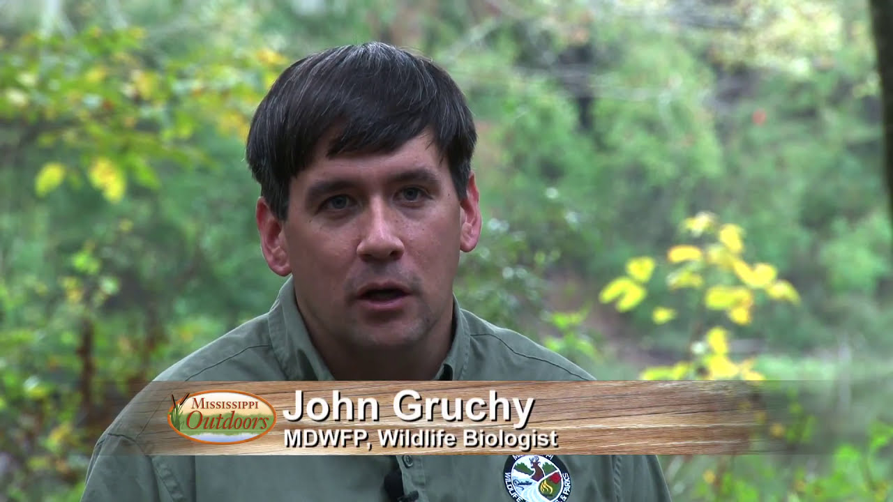 Mississippi Outdoors S27 E12 - Habitat Management, Kemper Co. Turkey Hunt