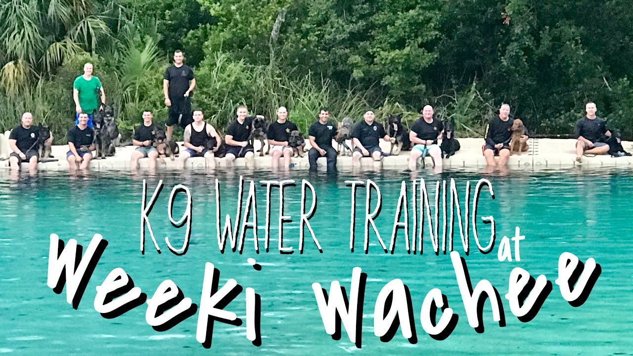 K9 Training at Weeki Wachee | Ep 127 | PSO Day in the Life